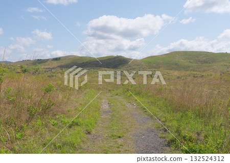 Akiyoshidai with dead grass in the spring of 2025 Akiyoshidai with dead grass in the spring of 2025 132524312