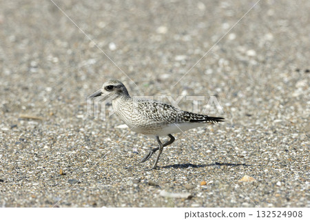 Daisen Daisen 132524908