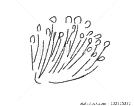 Pencil drawing style mushroom illustration 132525222