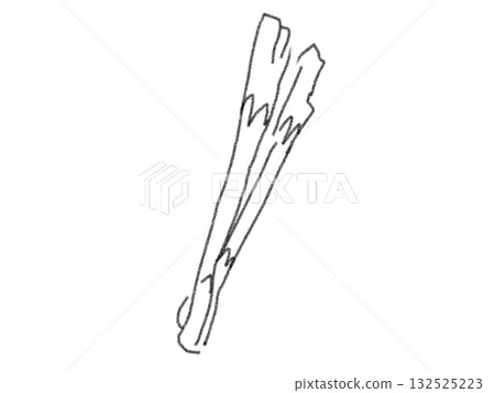 鉛筆畫風格的蔥插圖 鉛筆畫風格的蔥插圖 132525223