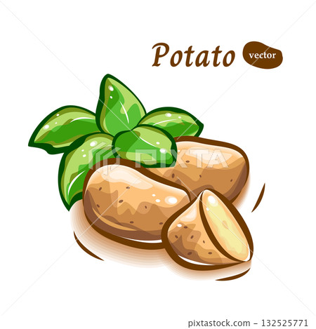 一幅可愛的插圖，描繪了新鮮的、帶有葉子的馬鈴薯。 132525771