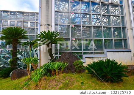 Ichikawa City Zoological and Botanical Garden 132525780