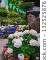Bunkyo Hydrangea Festival 132525876