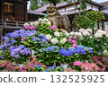 Bunkyo Hydrangea Festival 132525925