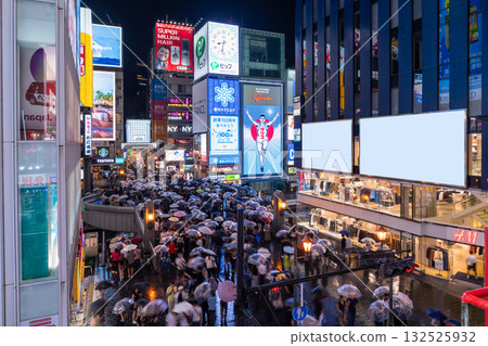 《Osaka Prefecture》Dotonbori/Minami Downtown 132525932