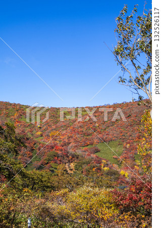 The colorful view of Mt. Nasu seen from the parking lot 132526117