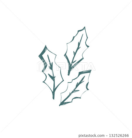 Scandinavian holly leaves illustration in minimal folk art style with hand drawn outline perfect for christmas design and packaging 132526266