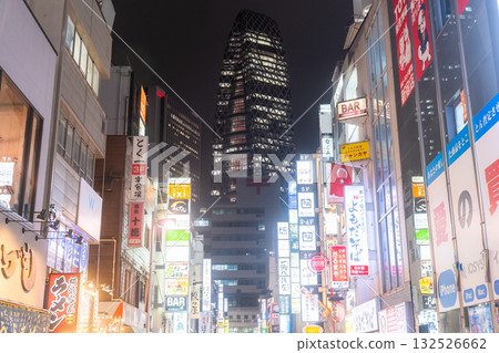 Tokyo: Shinjuku West Exit, the neon-lit entertainment district Tokyo: Shinjuku West Exit, the neon-lit entertainment district 132526662
