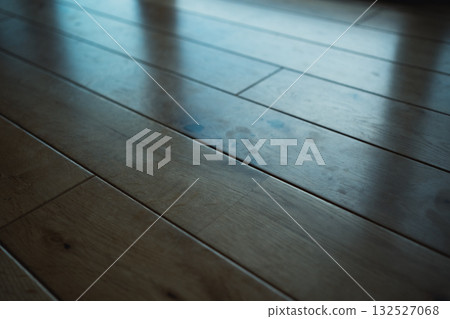 地板上的腳印 地板上的腳印 132527068