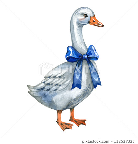 White domestic goose with a blue bow. Watercolor illustration. Cute farm bird, gosling isolated on white background. Gender reveal party, birthday, Easter and home textile White domestic goose with a blue bow. Watercolor illustration. Cute farm bird, gosling isolated on white background. Gender reveal party, birthday, Easter and home textile 132527325