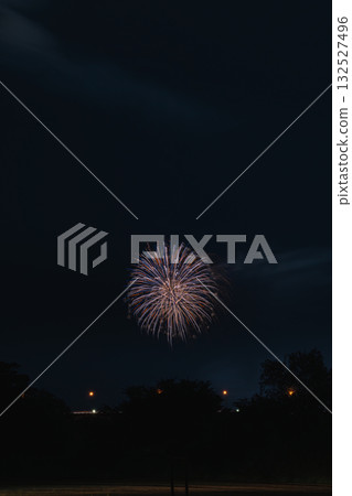 靜岡縣濱松市中之町煙火大會的場景 132527496