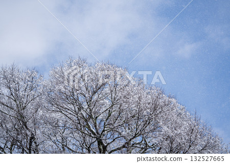 發光在藍天的雲彩 發光在藍天的雲彩 132527665