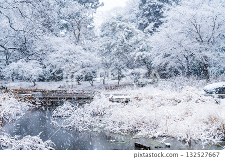 積雪的河 積雪的河 132527667