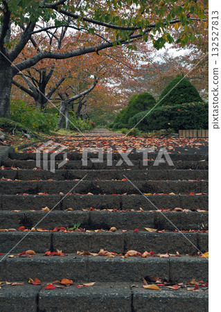 Otaru Autumn Temiya Green Botanical Garden Otaru Autumn Temiya Green Botanical Garden 132527813