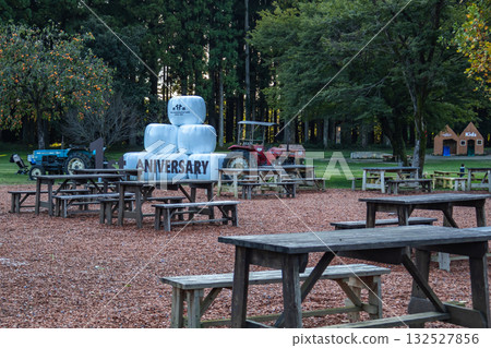 Park benches, tables and chairs Park benches, tables and chairs 132527856