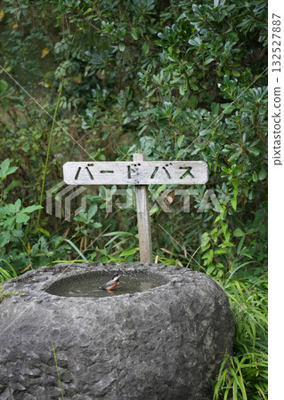 山母鳥浴盆 山母鳥浴盆 132527887