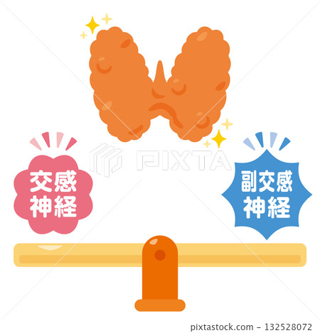Illustration of a balanced autonomic nervous system and a healthy thyroid Illustration of a balanced autonomic nervous system and a healthy thyroid 132528072