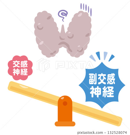 當副交感神經系統占主導地位且甲狀腺功能減慢時，甲狀腺的示意圖 132528074
