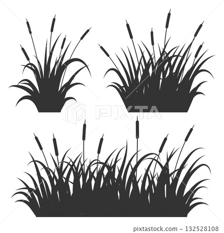 Grass reed vector illustrations isolated on white background. Tall bulrush silhouettes on swamp and lake. River bank wild shrubs. Coastal summer nature with aquatic plants Grass reed vector illustrations isolated on white background. Tall bulrush silhouettes on swamp and lake. River bank wild shrubs. Coastal summer nature with aquatic plants 132528108