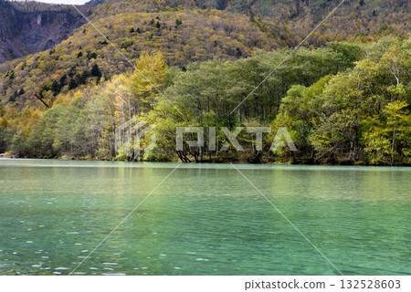 秋葉盛開時，大正池和梓川景色最迷人。 132528603