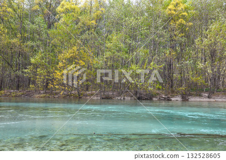 秋葉盛開時,大正池和梓川景色最迷人。 秋葉盛開時,大正池和梓川景色最迷人。 132528605