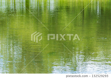 Summer pond surface 02 Summer pond surface 02 132529293