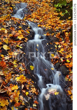 Beautiful autumn background. Stream with blurred flowing water and colorful leaves. concept for nature in autumn time. 132529576