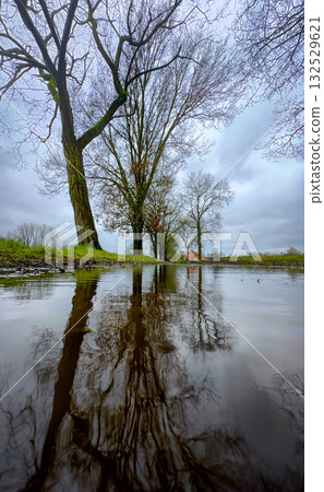 The Beautiful and Calm Reflections of Trees in a Tranquil Puddle on a Sunny Afternoon The Beautiful and Calm Reflections of Trees in a Tranquil Puddle on a Sunny Afternoon 132529621