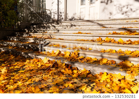 Yellow autumn leaves lie on the stairs of a building Yellow autumn leaves lie on the stairs of a building 132530281
