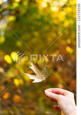 A woman holds a gold leaf in her hand 132530286