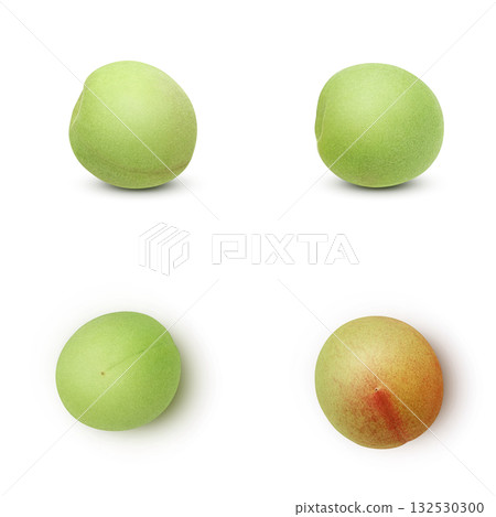 逼真的李子插圖 132530300