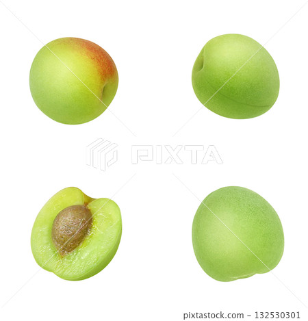 逼真的李子插圖 132530301