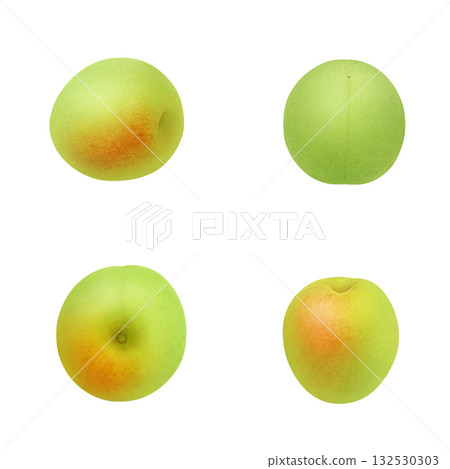 逼真的李子插圖 132530303