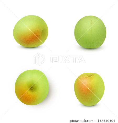 逼真的李子插圖 132530304
