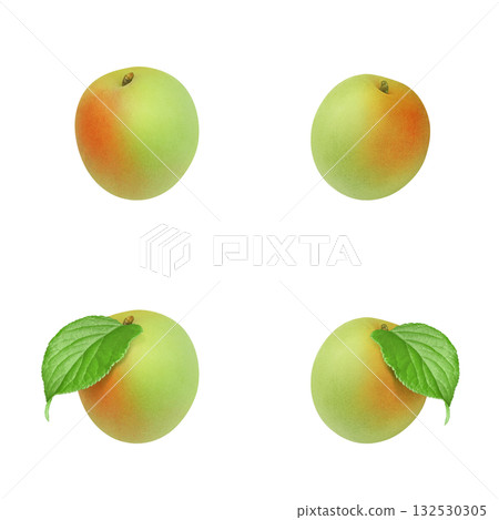 Plum illustration realistic plum fruit Plum illustration realistic plum fruit 132530305