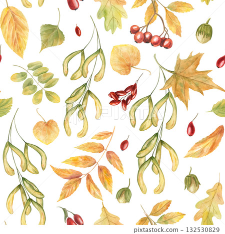 Autumn leaves and berry harvest watercolor seamless pattern on isolated background. Maple, oak, acer, ash leaf, rowan and barberry ornate. Floral illustration for textile design, rustic kitchen decor. Autumn leaves and berry harvest watercolor seamless pattern on isolated background. Maple, oak, acer, ash leaf, rowan and barberry ornate. Floral illustration for textile design, rustic kitchen decor. 132530829