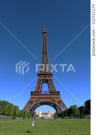 Eiffel Tower Eiffel Tower 132531174