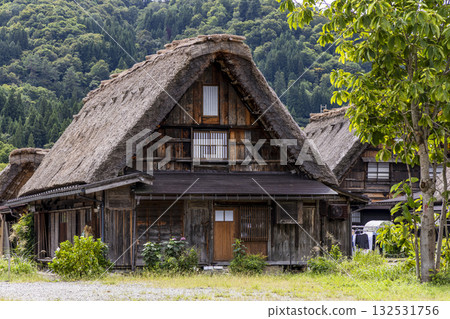 白川鄉傳統的合掌造茅草屋和鬱鬱蔥蔥的山景 132531756