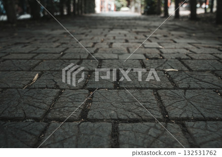 Wooden Pathway Texture Outdoors. Design, architecture, idea, concept Wooden Pathway Texture Outdoors. Design, architecture, idea, concept 132531762