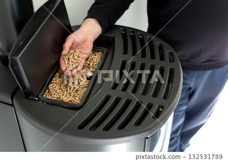 Pellet stove in a living room, energy 132531789
