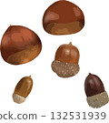 秋季堅果：橡子和栗子 132531939