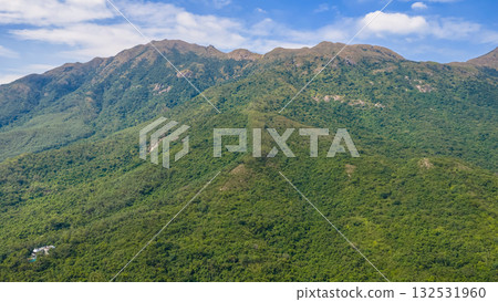 Golden Grass Waves on Sunset Peak Hong Kong Oct 25 2025 132531960
