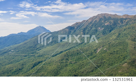 Golden Grass Waves on Sunset Peak Hong Kong Oct 25 2025 132531961