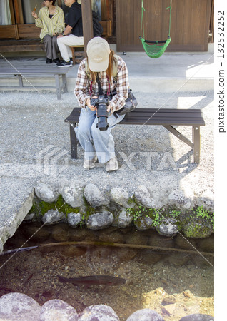 A camera girl watching the waterways of Shirakawa-go and fish swimming in the clear stream 132532252