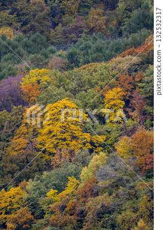 藻岩山秋景_1711 132532317