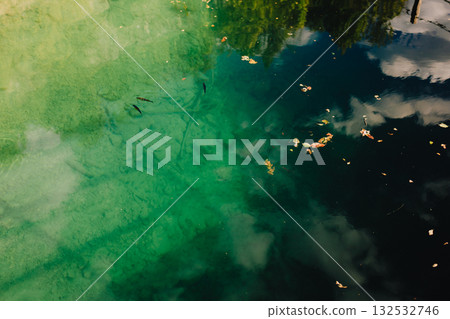 Clear water fishes swimming gracefully in transparent lake, surrounded by vibrant autumn leaves and reflecting clouds and trees on sunny, tranquil day. Transparent lake water revealing fish Clear water fishes swimming gracefully in transparent lake, surrounded by vibrant autumn leaves and reflecting clouds and trees on sunny, tranquil day. Transparent lake water revealing fish 132532746