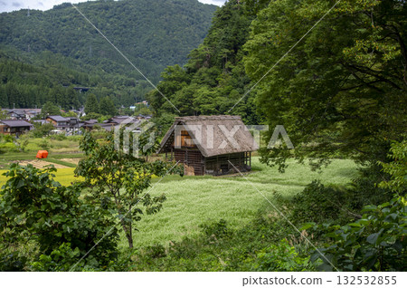 白川鄉的合掌造房屋（世界遺產）和鬱鬱蔥蔥的鄉村景觀 132532855