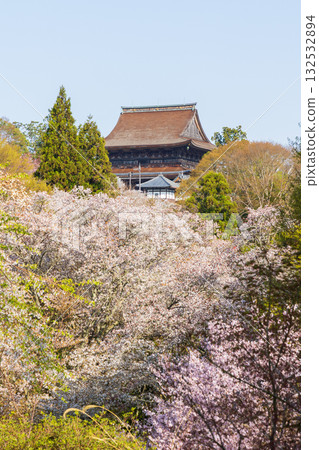 奈良之春：日本最佳賞櫻勝地－吉野山下千本、金峰千寺 132532894