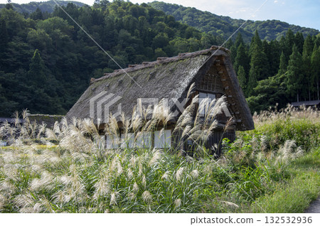 白川鄉的合掌造房屋和被銀草環繞的山景 白川鄉的合掌造房屋和被銀草環繞的山景 132532936