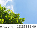Summer sky: Blue sky, clouds and mountain trees seen from the summer mountains 7 132533349